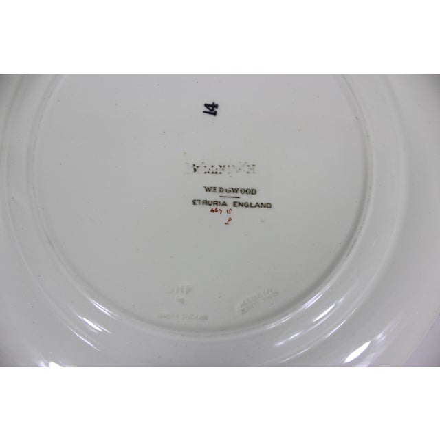 Stunning Antique from the 1880’s Wedgwood Bullfinch Brown dinner plate with blue edge. This has hand painted details. This...