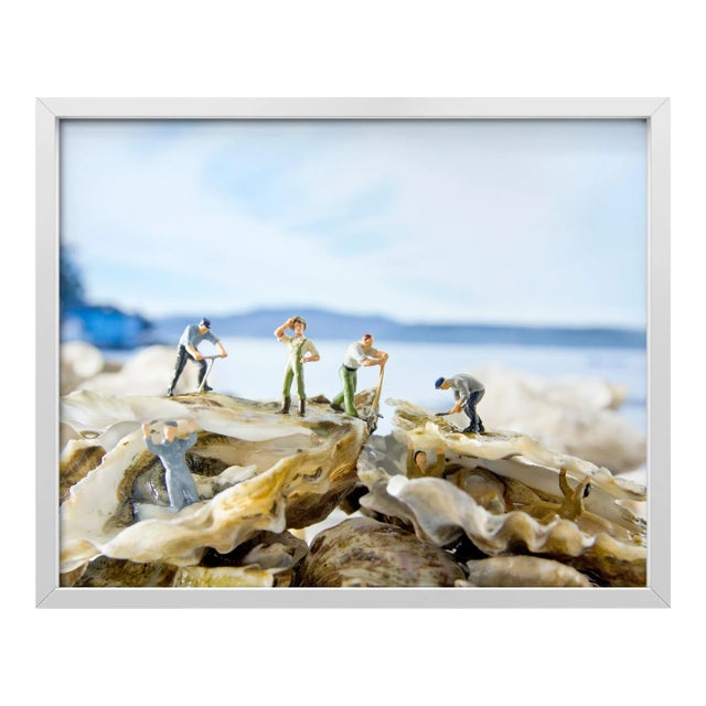 Oysters by Matthew Carden Print with White Frame - 23 X 29 For Sale