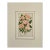 1870s, Rose Print by Anne Pratt, Original Antique Botanical Print, Lithograph, Matted, England For Sale
