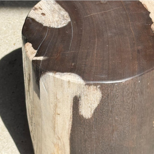 Small Side Table in Black and White Petrified Wood, 1980s For Sale - Image 10 of 18