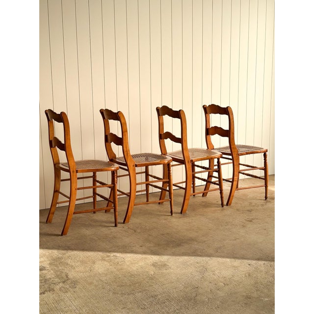 Early 20th Century Antique French Country Dining Chairs, Set of 4 For Sale - Image 5 of 12