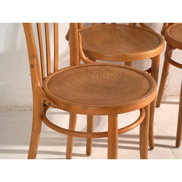 Bentwood Chairs in the style of Thonet, Central Europe, 1930, Set of 4 For Sale - Image 3 of 15