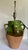 Terra Cotta Vintage Terracotta Green Glazed Handled Confit Jar Converted to Table Lamp For Sale - Image 8 of 10