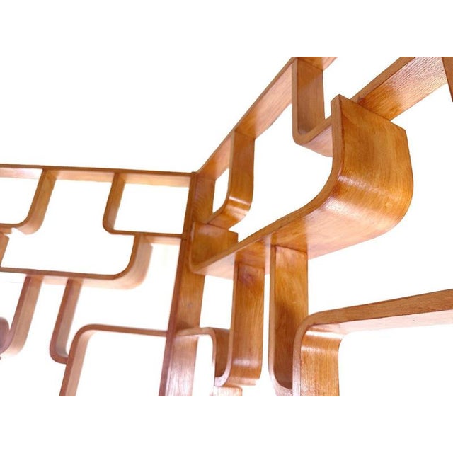 Vintage Room Divider by Ludvík Volák, 1960s For Sale - Image 6 of 16