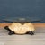 Vintage English Turtle Shaped Coffee Table from Anthony Redmile, 1970s For Sale - Image 14 of 16