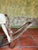 19th Century-Early 20th Century Antique Victorian American Folk Art Wooden Rocking Horse For Sale - Image 9 of 11