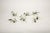 Early 21st Century Branching Out: Olive Twig Napkin Rings - Set of 6 For Sale - Image 5 of 5