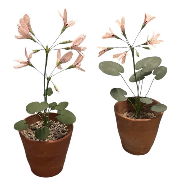 This charming pair of vintage artisan botanical studies features delicately handcrafted crepe paper flowers, expertly...