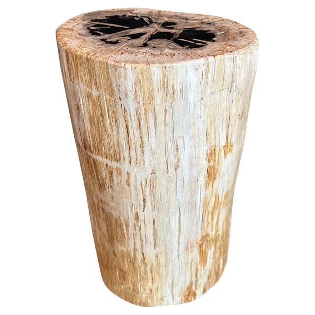 Beautiful contrasting tones on this high quality petrified wood side table. It’s fascinating how Mother Nature produces...