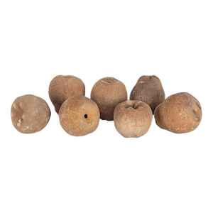 Group of Seven Large Terracotta Unglazed Apples and Pears, Circa 1900