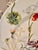 Late 20th Century Royal Stafford English Botanical Floral & Strawberry Dinner/Display Plate For Sale - Image 10 of 10