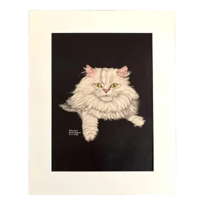 Vintage Midcentury Gladys Emerson Cook Persian or Angora Cat Print in 16x20 Mat