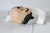 Mid 20th Century Vintage Chalkware Chef String Holder Wall Hanging For Sale - Image 5 of 8