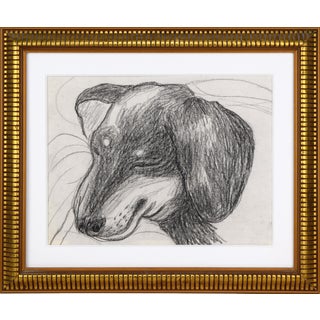 Vintage Mid Century Modernist Expressionist Charcoal Drawing of a Sleeping Dog For Sale
