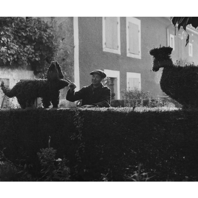 Robert DOISNEAU (1912–1994) "The Boxwood Cutter," close-up Vintage gelatin silver print Stamp: Robert GIRAUD Collection...