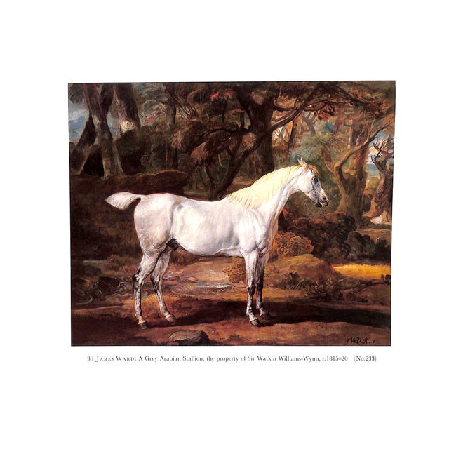 1970s "British Sporting and Animal Drawings 1500-1850" 1978 Egerton, Judy and Snelgrove, Dudley For Sale - Image 5 of 9