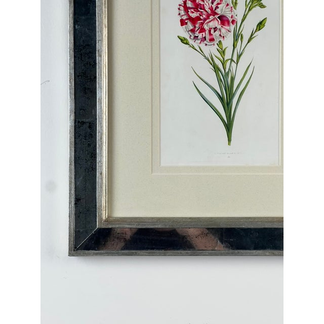Glass Vintage Trowbridge Custom Framed Botanical Print “Dianthus Caryophyllus” After Louis Stroobant, Belgium 1845-1888 For Sale - Image 7 of 10