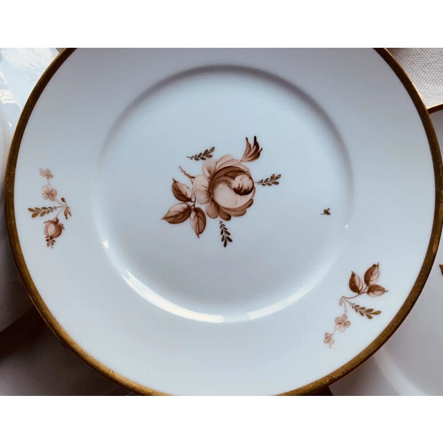 White Royal Copenhagen Brown Rose Hand-Painted Porcelain Plates Set of 6 - Gilt Borders For Sale - Image 8 of 12