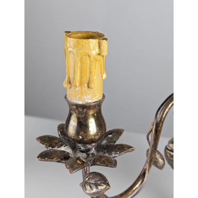 Wall Lights with Parrots and Leaves from Maison Baguès, 1950s, Set of 2 For Sale - Image 11 of 18