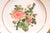 Pair of Deroche Paris Porcelain Floral Plates, 19th Century For Sale - Image 6 of 11