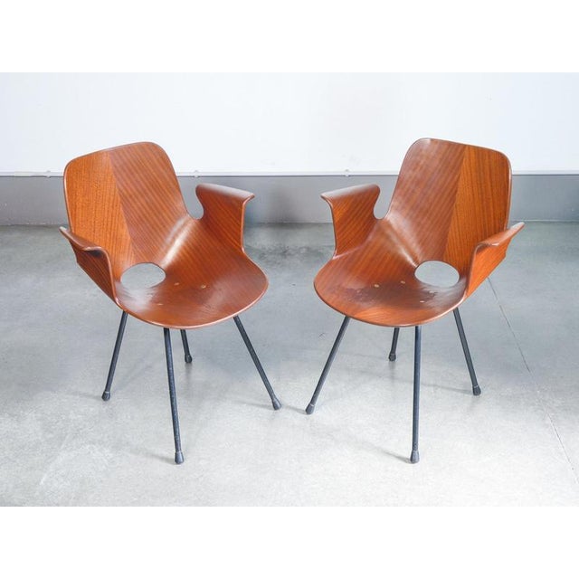 Medea Chairs by V. Nobili for Tagliabue, Set of 2 For Sale - Image 18 of 18