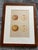 Champagne Series of 4 19th C Hand Colored Engravings of Apples For Sale - Image 8 of 17