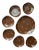 Mid-Century Chocolate Brown & 22k Gold Floral Dessert Plate Set With Freeform Cake Platter — Serving for Six, Set of 7 Pieces For Sale