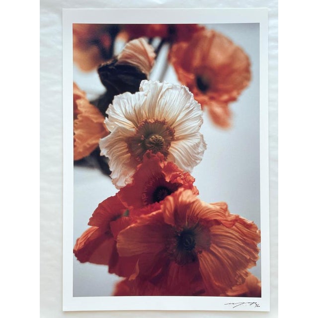 Orange Poppies No.4' Analogue colour floral photography. London, United Kingdom 2024. Limited edition of 20. Printed on...