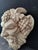 Fountain Mask with Face of Faun with Grapes in Asiago White Marble, Venice For Sale - Image 9 of 12