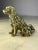 Italian Ottone Stopper of Pastore Dog, 1960s For Sale - Image 11 of 12