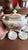Rare Antique English Bone China Bat Printed Tea Service, by Ridgway, Pattern 1684/2, Circa 1830s - 22 pcs For Sale - Image 10 of 18