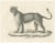 C.C. G. Zool., Barbary Lioness in a Powerful Standing Pose, 1836, Lithograph For Sale - Image 11 of 11
