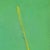 Two Touches - Virginia Cohn Parkum, C. Unknown For Sale In San Diego - Image 6 of 8