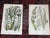 Antique 19th Century Botanical Lithographs - Set of 12 For Sale - Image 4 of 10