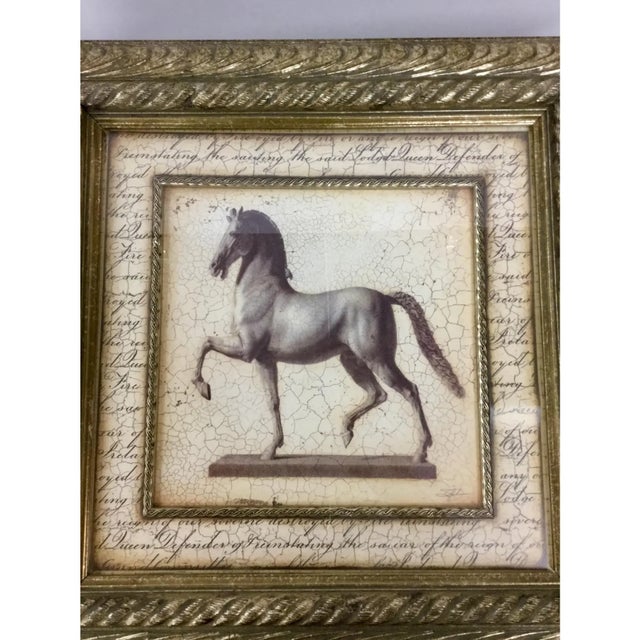 Ornately Framed Horse Print For Sale In Portland, ME - Image 6 of 10