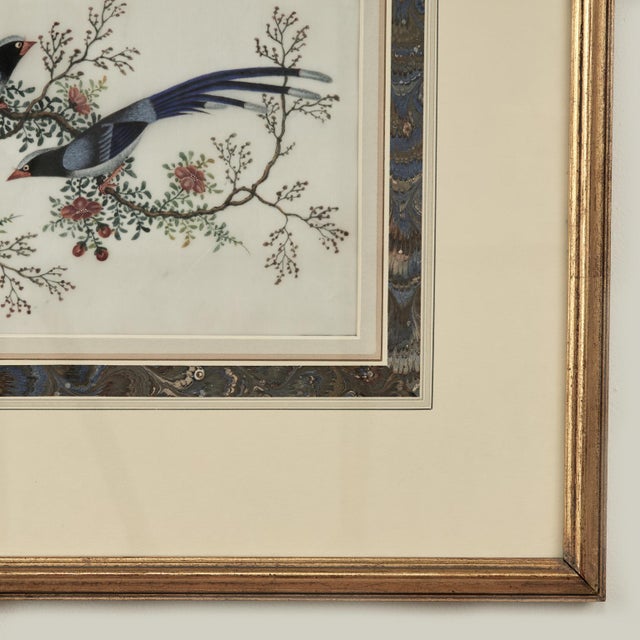 Pair of Antique Chinese Pith Paintings of Birds For Sale - Image 13 of 18