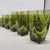 Glass 1970s Colony Vanity Avocado Green Glassware - Set of 18 For Sale - Image 7 of 18