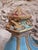 Neo-Gothic Architectural Church Elements in Polychrome Terracotta, France, 19th Century, Set of 2 For Sale - Image 16 of 18