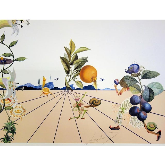 Salvador Dali, Flordali I, 1981, Lithograph For Sale - Image 4 of 8