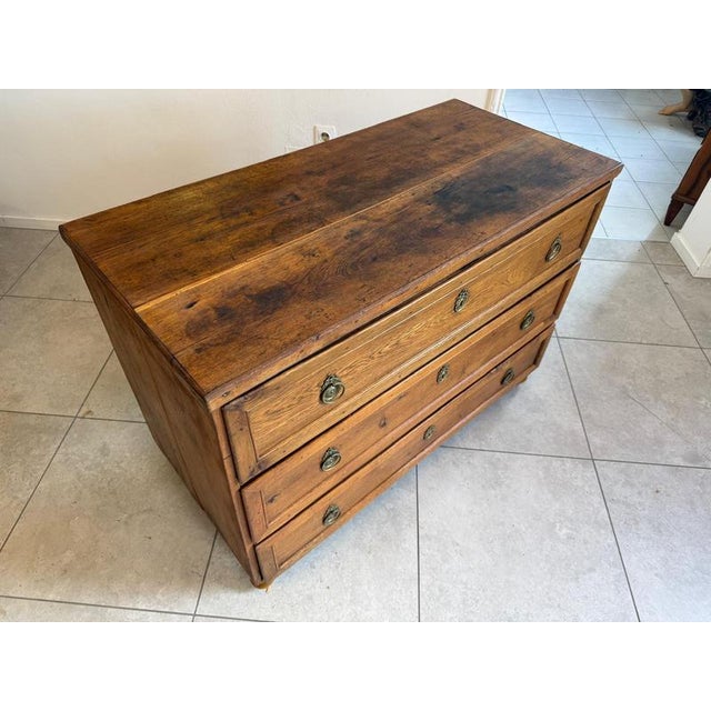 Brown Baroque Chest of Drawers in Pine For Sale - Image 8 of 18