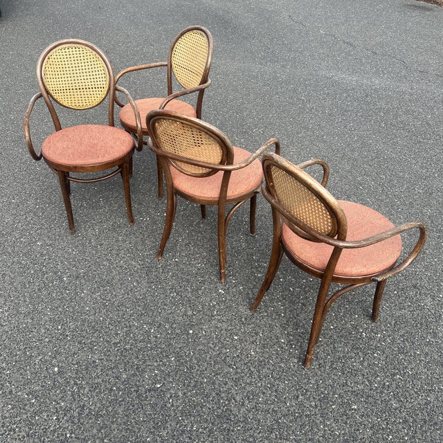 1950s Radomsko Cane Back Bentwood Dining Arm Chairs Set of Four For Sale - Image 12 of 12