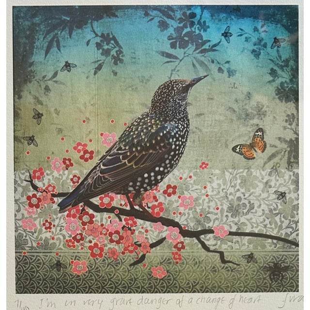 Original Lithograph of a Bird and Butterfly by Fiona Watson For Sale - Image 4 of 8