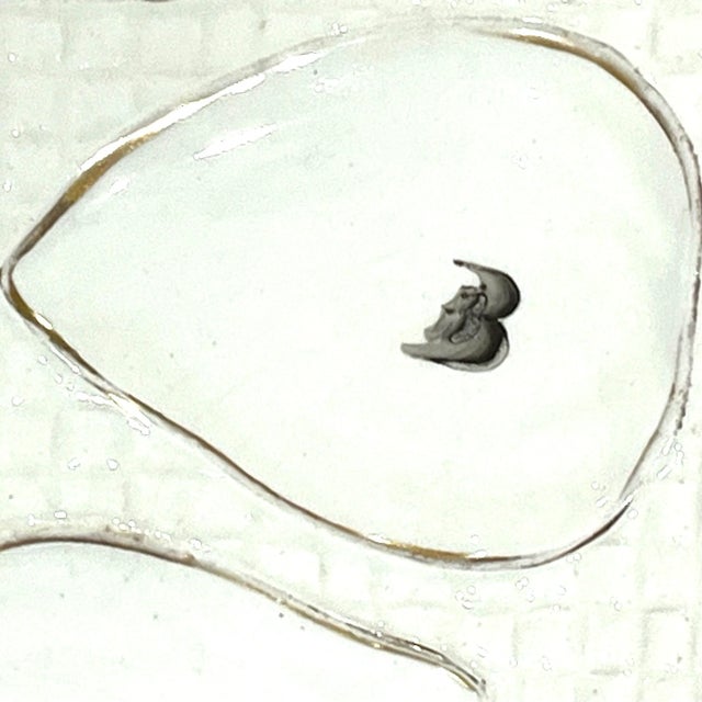 Late 19th Century Cream and Gold Oyster Plate by Franz Anton Mehlem For Sale - Image 4 of 9