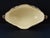 Ceramic Earthenware Planter from Gien, 19th Century For Sale - Image 7 of 11