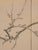 Japanese Folding Screen in Paper For Sale - Image 6 of 11