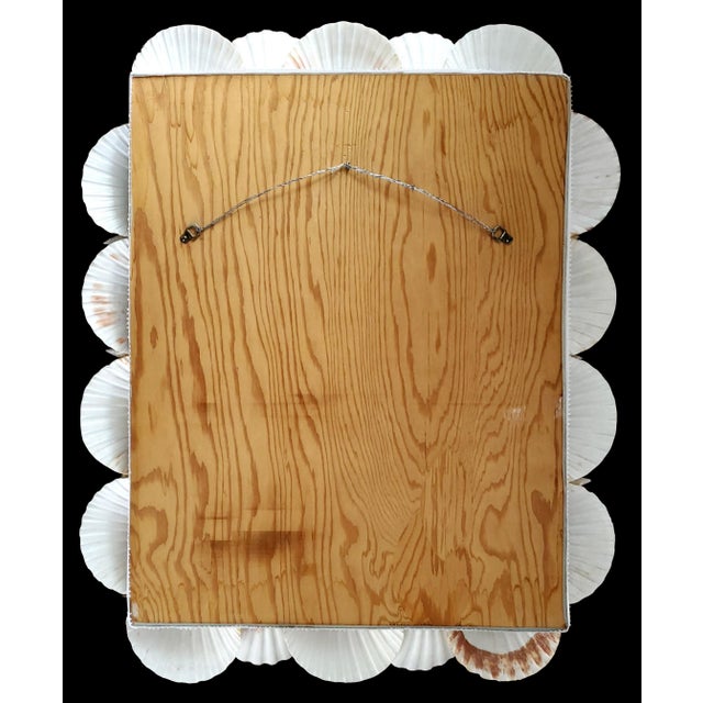 Shell Seashell White Wall Mirror For Sale - Image 12 of 14