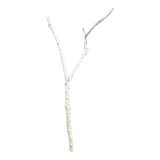 Birchwood Branch Piece for Decoration, Style A For Sale