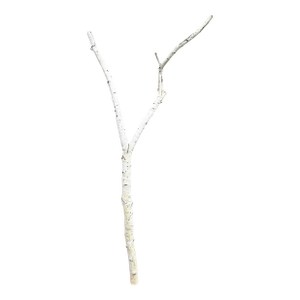 Birchwood Branch Piece for Decoration, Style A