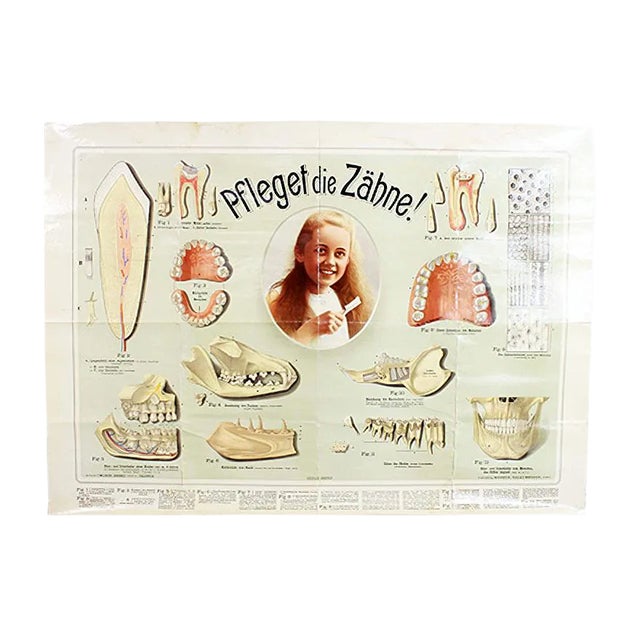 Pfleget die Zähne Vintage Print For Sale