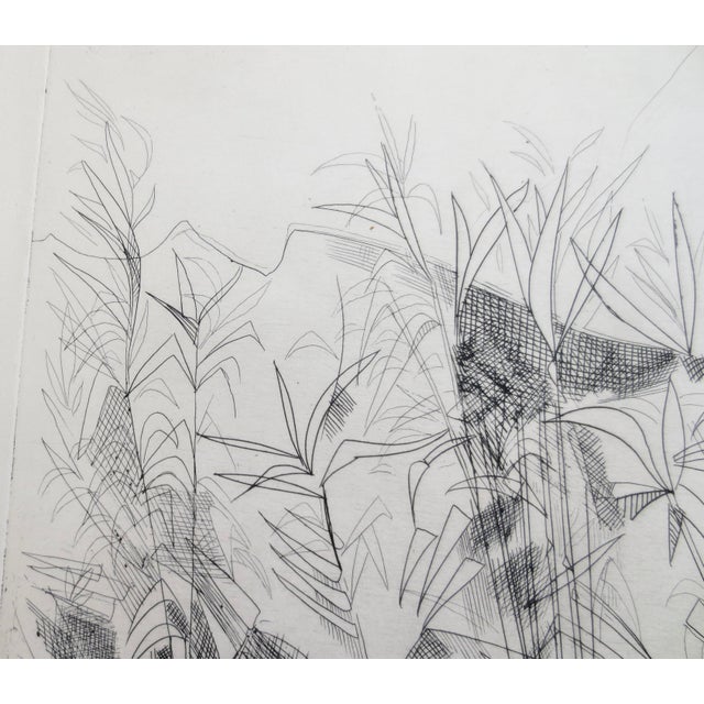 Mid 20th Century Drypoint Etching by Camille Hilaire 1950 For Sale - Image 5 of 11